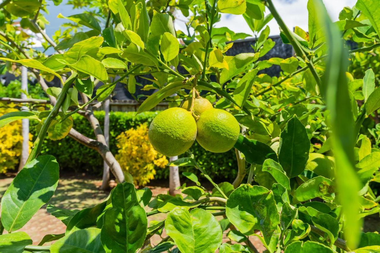 1730 Kaleka 4 Bed Poipu House, Guest House Walk To Beach Koloa Ngoại thất bức ảnh